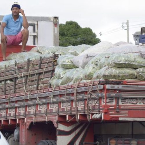 Liminar proíbe bloqueio do tráfego de caminhões em rodovias na BA após ação movida por empresa de alimentos