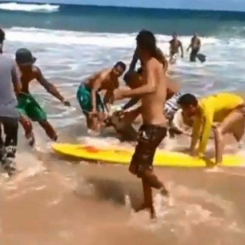 Boi de 600 kg morre afogado em mar de Salvador depois de fugir de exposição agropecuária