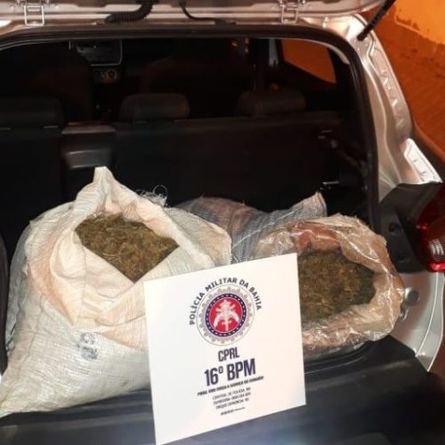 Motorista de aplicativo flagrado com 40 kg de maconha em Serrinha