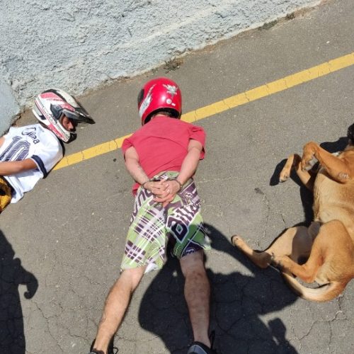PR – Cachorro caramelo deita ao lado de suspeitos durante abordagem policial; foto viraliza