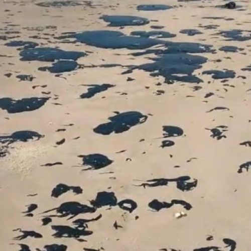 Quatro mil toneladas de óleo já foram retiradas de praias nordestinas