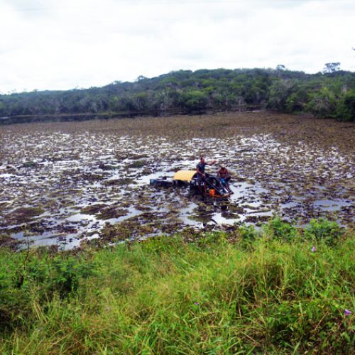 Pá carregadeira cai em represa às margens da BA-052 em Baixa Grande após falha mecânica