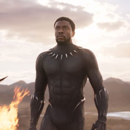 Chadwick Boseman, de ‘Pantera Negra’, morre aos 42 anos