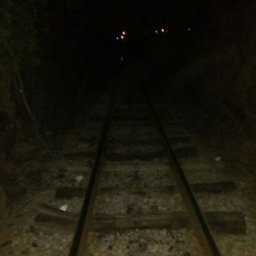 Riachão: ‘cordeiro da barragem’ é encontrado morto ao lado da linha de ferro, em Queimadas