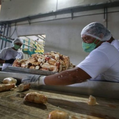 Bahia gera mais de 15 mil postos de trabalho em janeiro e lidera o Nordeste