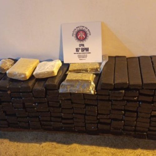 PM apreende 305 quilos de maconha na cidade de Serrinha