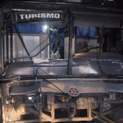 Motorista não consegue desviar ônibus e atropela 12 vacas na BA-120, entre Santaluz e Queimadas