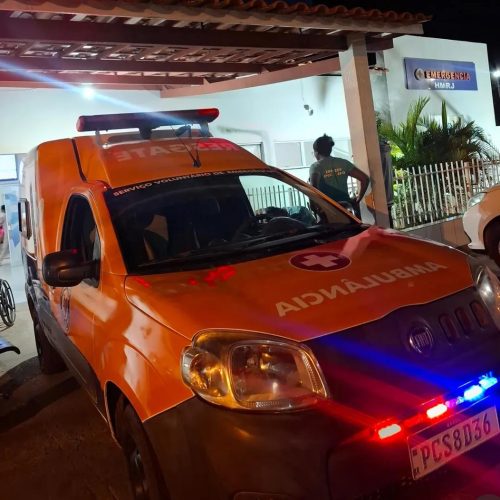 Dois acidentes com moto envolvendo uma vaca são registrados na BA-120