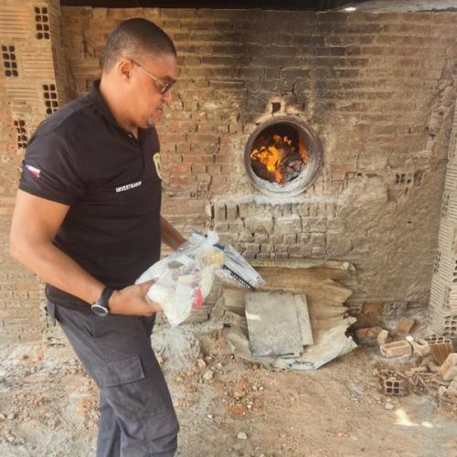 Polícia Civil incinera mais de 11 kg de drogas apreendidas em Monte Santo