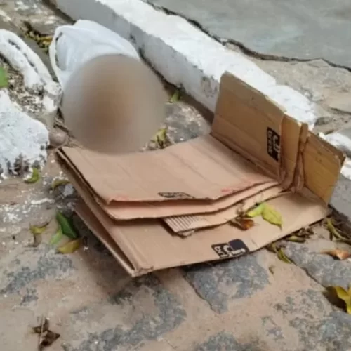 Crânio é encontrado no centro de Inhambupe 