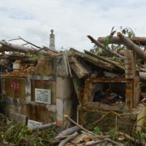 Árvore centenária cai e destrói túmulos em cemitério de Vitória da Conquista: ‘nem na última morada eles estão tendo paz’, reclamou familiar