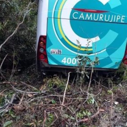 Ônibus tomba às margens da BR-420 e deixa 15 feridos