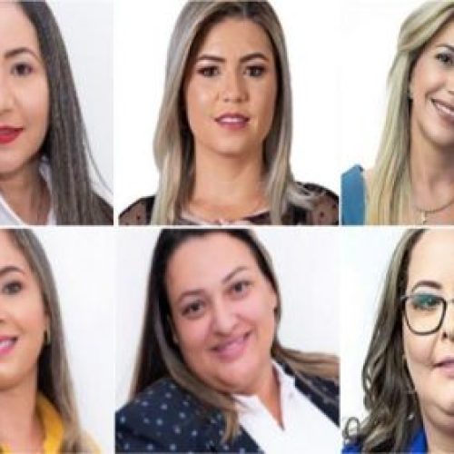 Mulheres serão maioria na Câmara Municipal de Palmas de Monte Alto em 2021