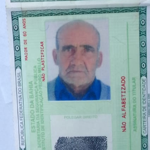 Idoso de 70 anos morre após ser atacado por abelhas em Araci