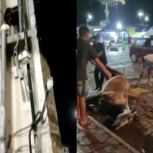 Cavalo morre eletrocutado em praça pública de Várzea Nova durante cavalgada