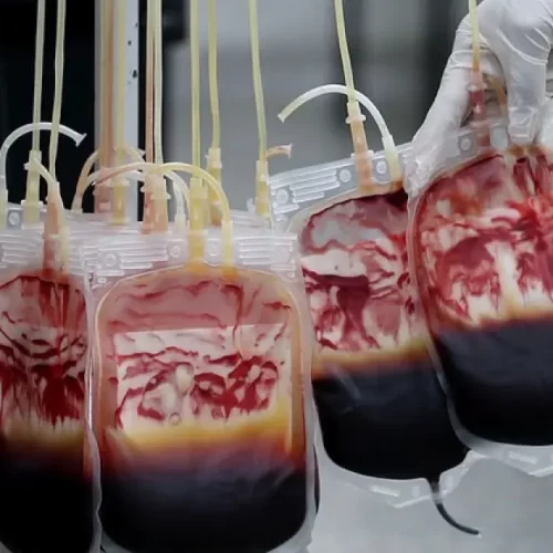 PMBA lança campanha “Doe uma Gota de Carinho” para reforçar estoques de sangue na Bahia