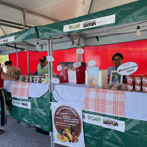 Santo Agostinho realiza II Feira da Economia solidária e agricultura familiar com grande participação popular