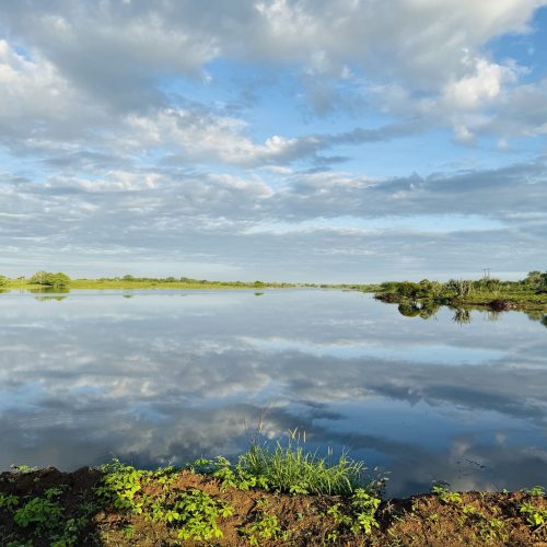 Chuvas elevam nível do Rio Jacuípe e Defesa Civil emite alerta em Riachão do Jacuípe