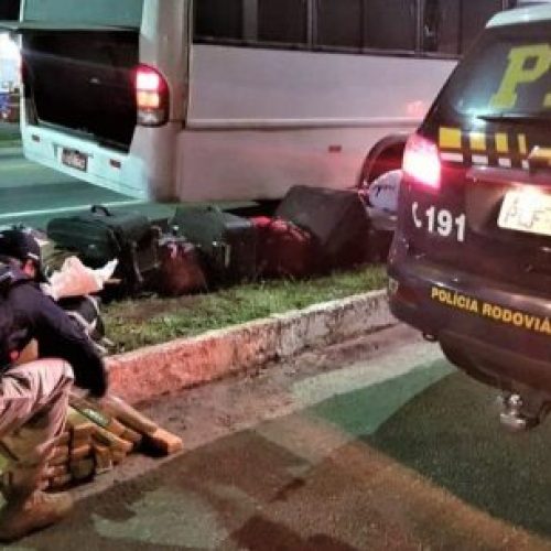 Polícia apreende 30 kg de maconha em micro-ônibus no interior da Bahia