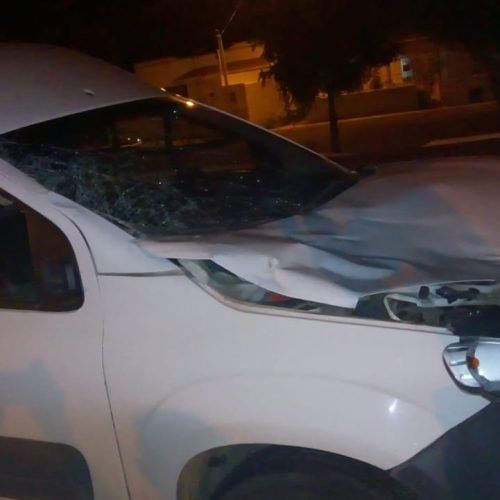 Veículo bate em cavalo na rodovia Lomanto Júnior em Riachão