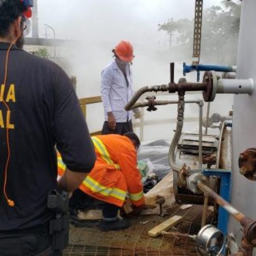 Polícia Federal incinera mais de três toneladas de maconha na Bahia
