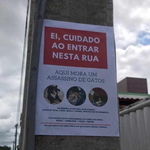 R. do Jacuípe: Moradores da Asa Branca fazem cartazes denunciando envenenamento de gatos