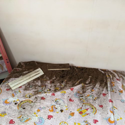 Moradores relatam  terem sentido o tremor de terra em R. do Jacuípe