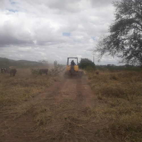 Serra Preta: Máquinas iniciam limpeza do terreno para futura instalação da fábrica de calçados