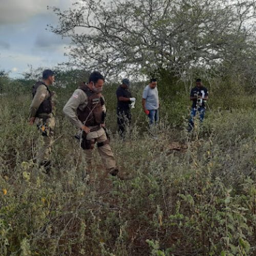 Ossada humana que pode ser de idoso desaparecido há 53 dias é encontrada em Ichu