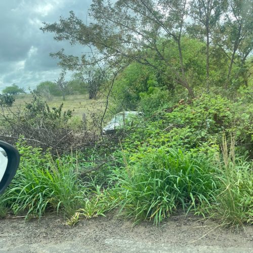 Capotamento na BA-120 entre Riachão do Jacuípe e Chapada deixa motorista ferido