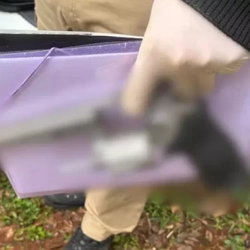 Adolescente mata avó e fere avô após ser proibido de usar celular no Paraná