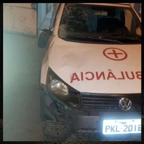 Ambulância de Santaluz colide com vaca na BA-120; animal morre e ninguém fica gravemente ferido