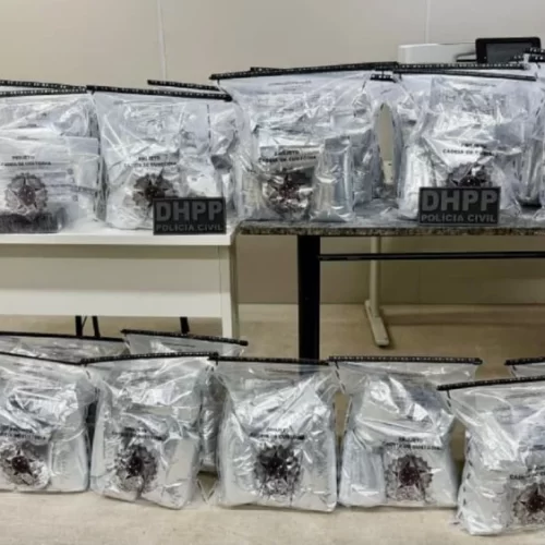 Polícia Civil apreende cerca de 80 kg de cocaína e prende suspeito em Santo Estevão