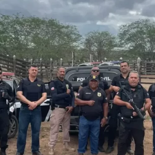 Operação Abigeato investiga furto de gado em Capela do Alto Alegre