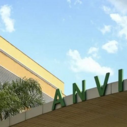 Anvisa proíbe venda e uso de oito cosméticos capilares irregulares