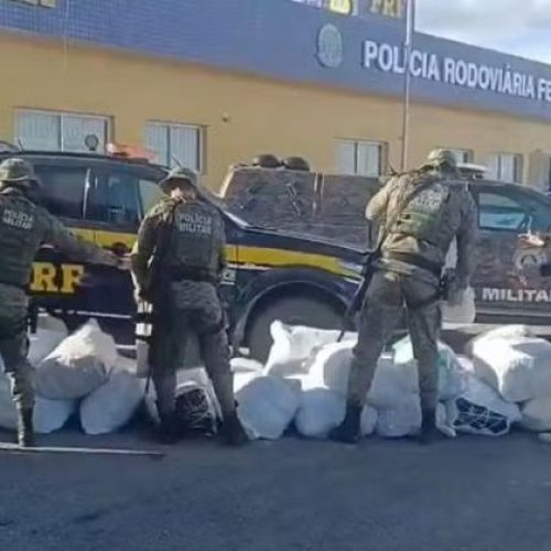 Mais de 750 kg de maconha são apreendidos em caminhão durante ação policial em Juazeiro