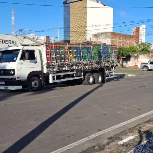 Caminhão com carga de manga é apreendido em Feira de Santana por transportar araras de forma ilegal