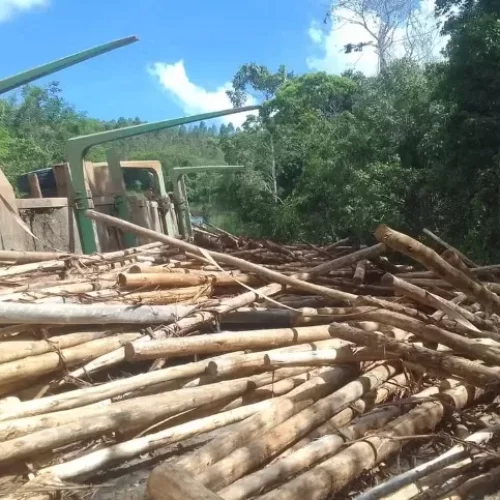 Ciclista morre após ser atingido por toras de madeira transportadas em caminhão