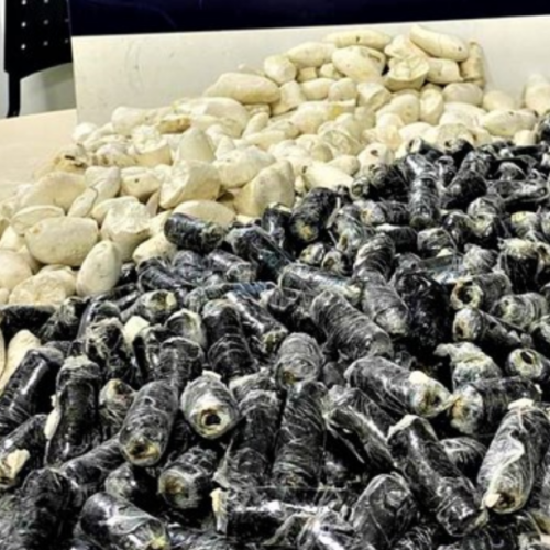 Boliviana é presa com cápsulas de cocaína camufladas de batatas em ônibus na Bahia