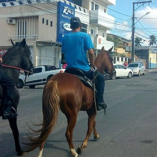 Contra aumento da gasolina, vereador vai trabalhar a cavalo na Bahia