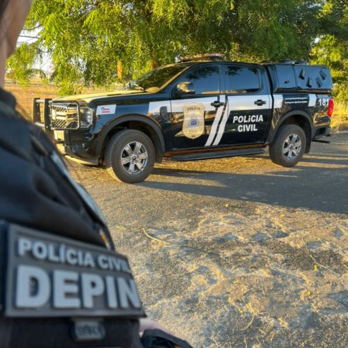 Polícia Civil prende dois durante Operação Castiel contra roubo de veículos