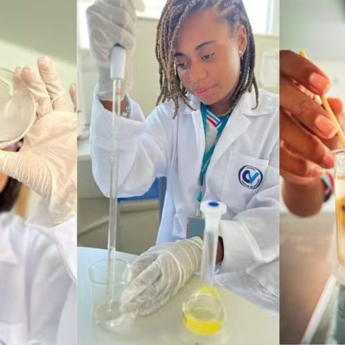 Estudantes de Santa Bárbara criam biofilme sustentável para conservar alimentos e reduzir uso de plástico