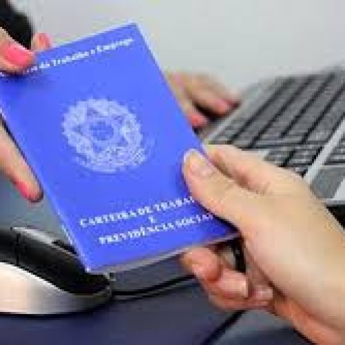 Saiba quais são as profissões que estão em alta no mercado