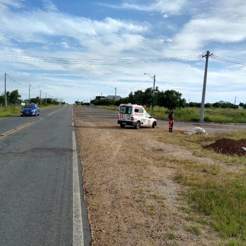 Carro colide com animal na BA-120 em Riachão do Jacuípe