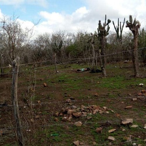 Foto: Site Interior da Bahia 