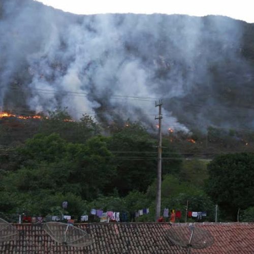 Incêndio atinge serra às margens da BR-324, em Jacobina