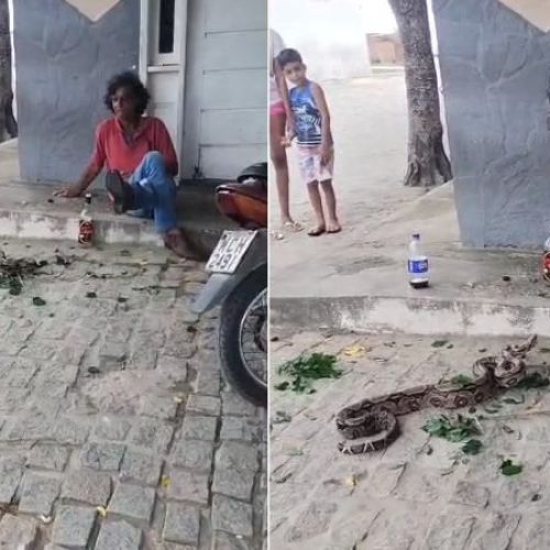 Homem solta jiboias em praça e assusta moradores de povoado em Retirolândia