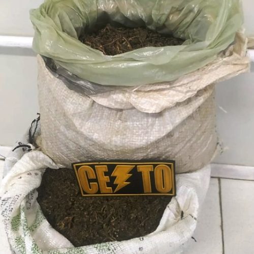 PM apreende 16 kg de maconha em Serrinha