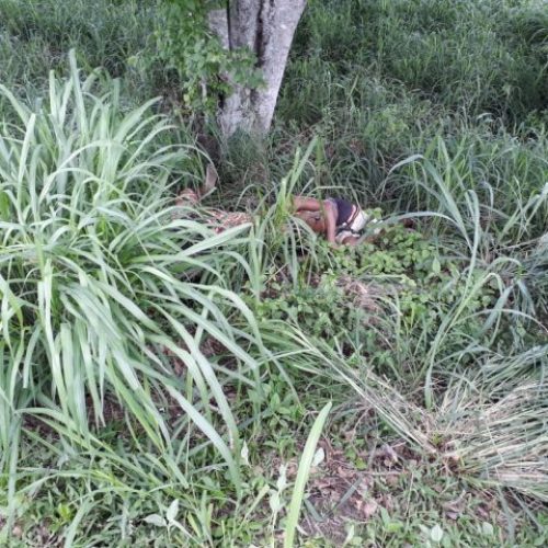 Dois jovens são encontrados mortos em Anguera