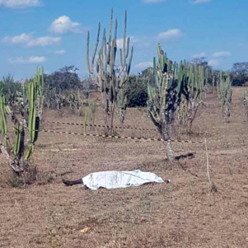 Cadáver é encontrado na zona rural de Retirolândia
